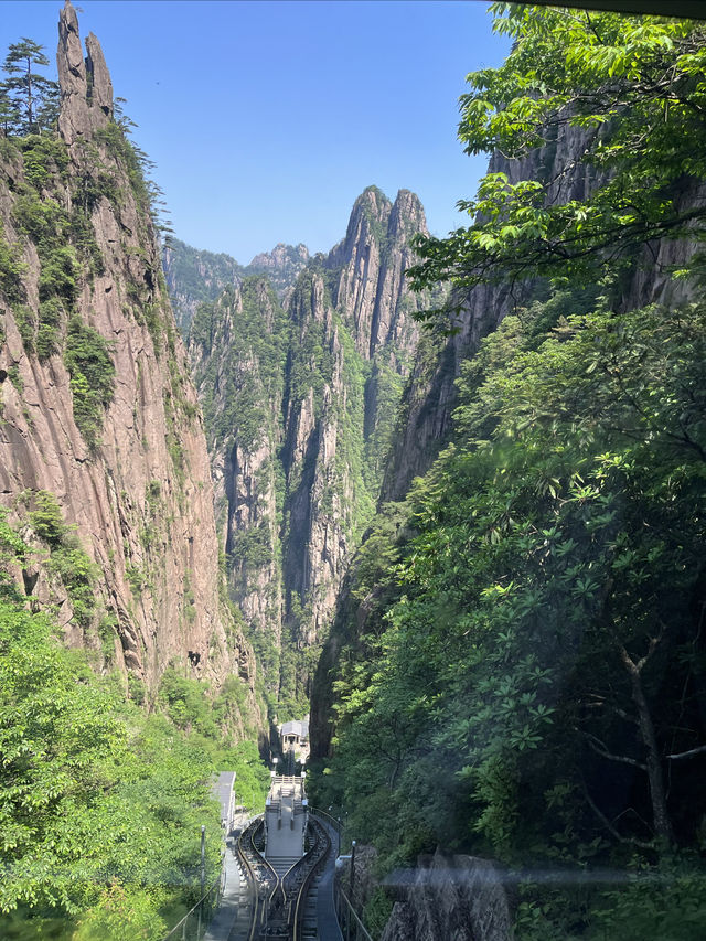 去黃山看這篇就夠了！快收藏