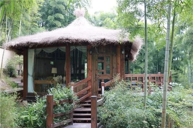 入住湖州長頸鹿莊園酒店，開啟一段夢幻之旅