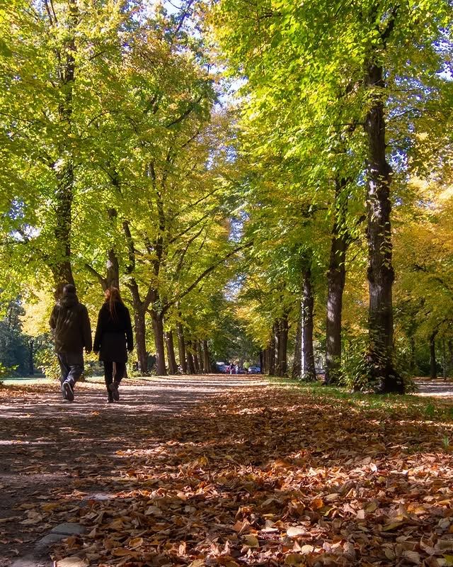 德國萊比錫克拉拉·蔡特金公園——自然與寧靜的完美結合