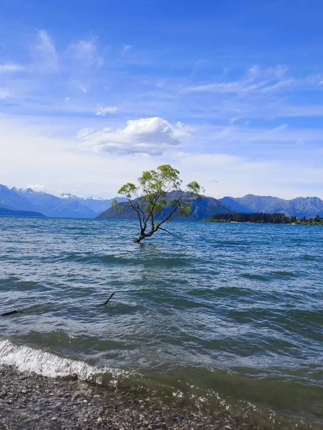 Qingming Short Holiday: A Complete 2-Day Itinerary for New Zealand