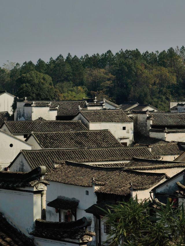 浙江蘭溪諸葛古村