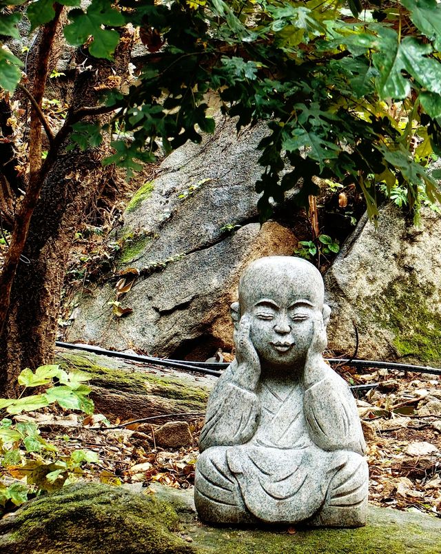 打卡-醫巫閭山