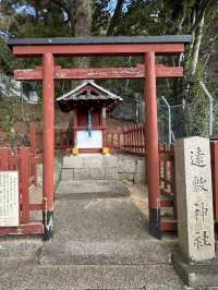 遠敷神社：奈良的隱藏瑰寶⛩️🌸