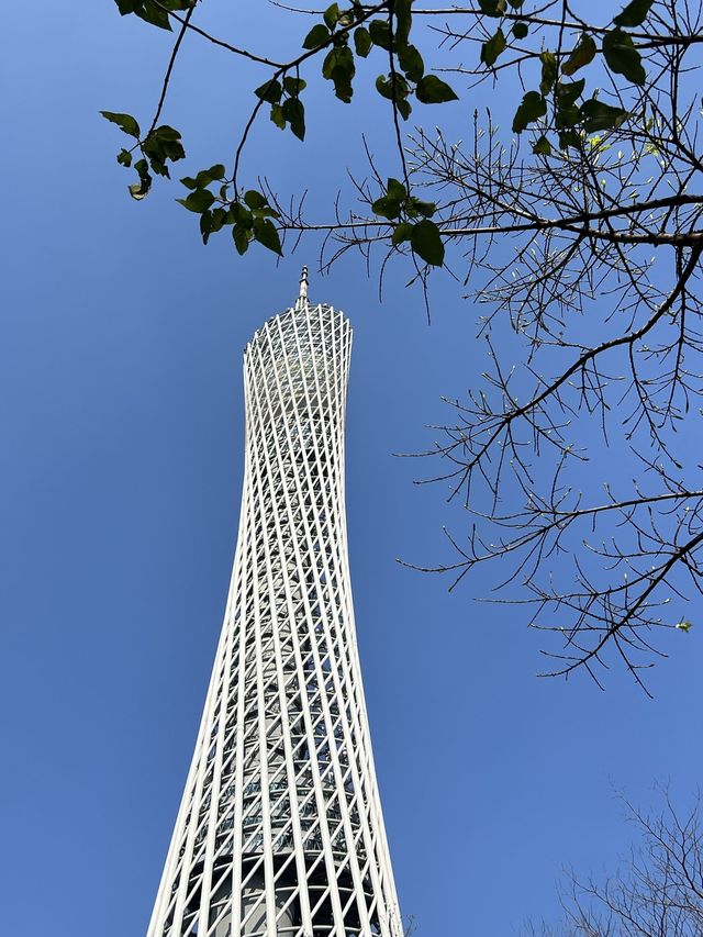 廣州親子遊全攻略玩轉羊城不迷路