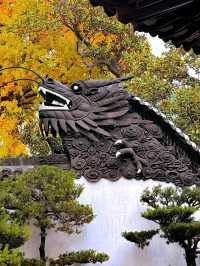 Yuyuan Garden: A Serene Oasis in Shanghai