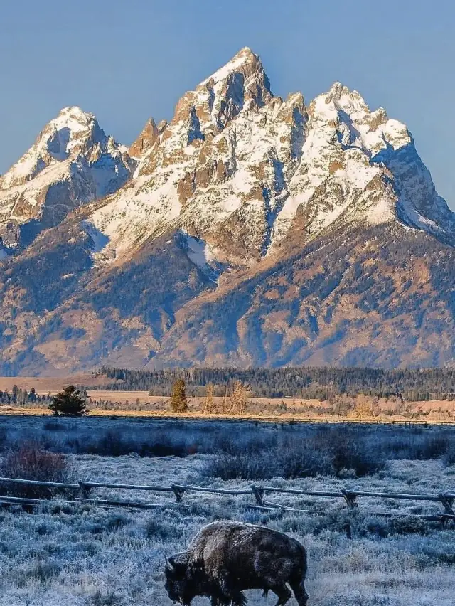 A Complete Guide to Multi-Country Tours During the Qingming Festival