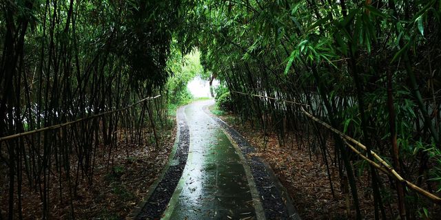 自駕蘇魯（6）「龍脈之湖」-雲龍湖旅遊景區