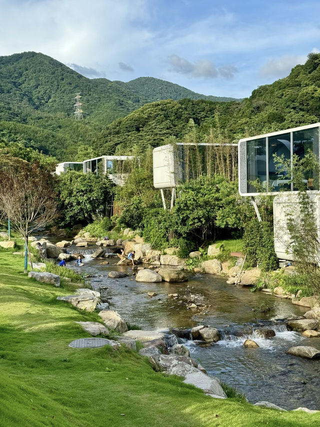 夢幻露營：天人山水房車露營地的靜謐時光