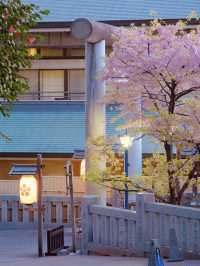 🌸東京上野公園の雲端櫻花季｜避開人潮的絕美打卡攻略🔥