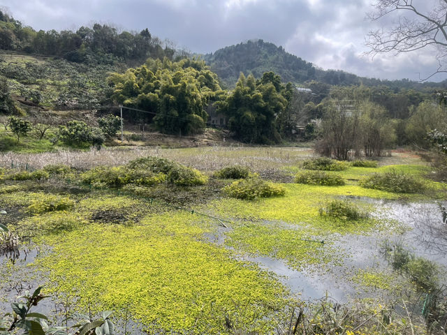 Day Trip to Chengdu