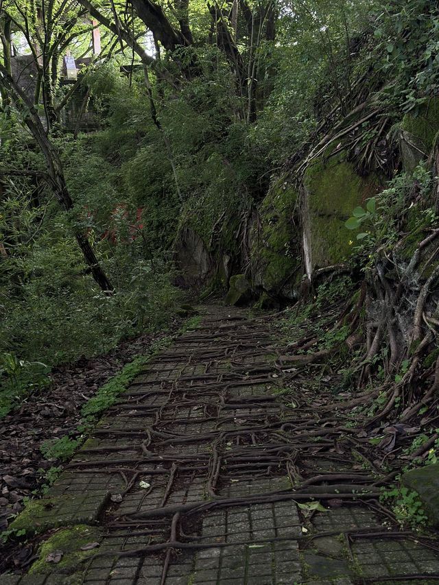 清明 8 日遊 昌吉回族自治州等地美景等你探索