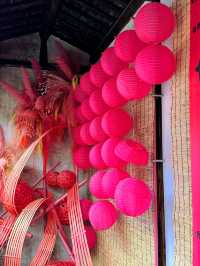 錫惠公園限定浪漫！春日賞櫻保姆級攻略