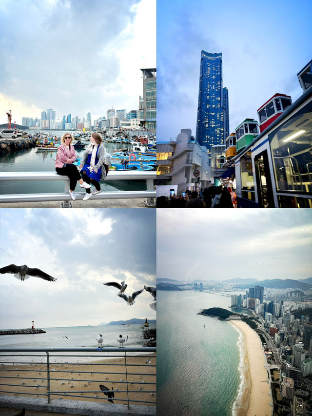Busan I SEA you 