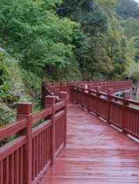 白江湖森嶺公園：嶺南的自然瑰寶