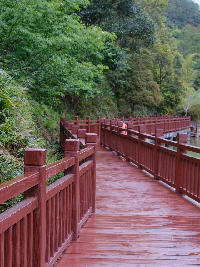 白江湖森嶺公園：嶺南的自然瑰寶