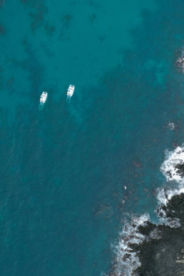 濟州島超浪漫嘅一條巴士線，直達春日限定粉