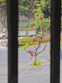 成都往返攀枝花週末兩日遊攻略
