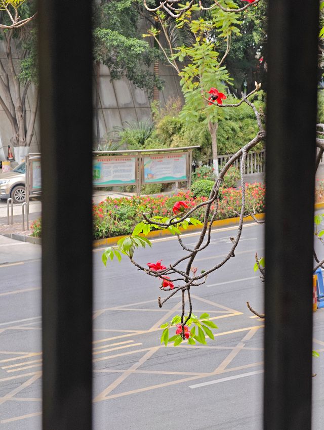 成都往返攀枝花週末兩日遊攻略