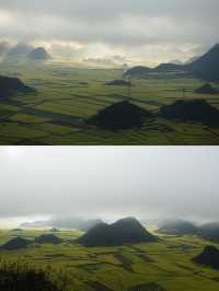 曲靖油菜花 | 一場限定春日浪漫全攻略