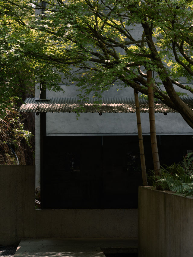 明月松間｜當建築學會隱身，自然便來頒獎