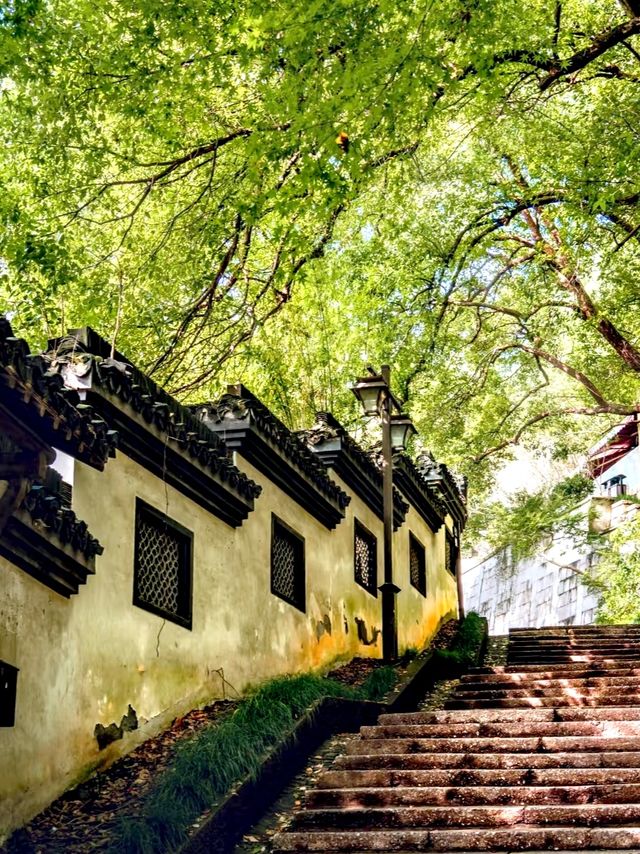 杭州老城半日遊帶你穿越南宋時光。