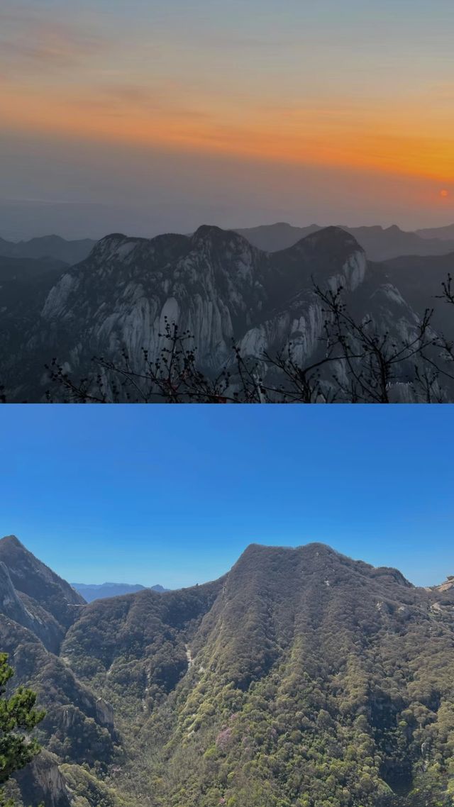 華山你把我拿捏住了