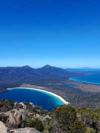Tasmania wonders of animal kingdom #tasmania