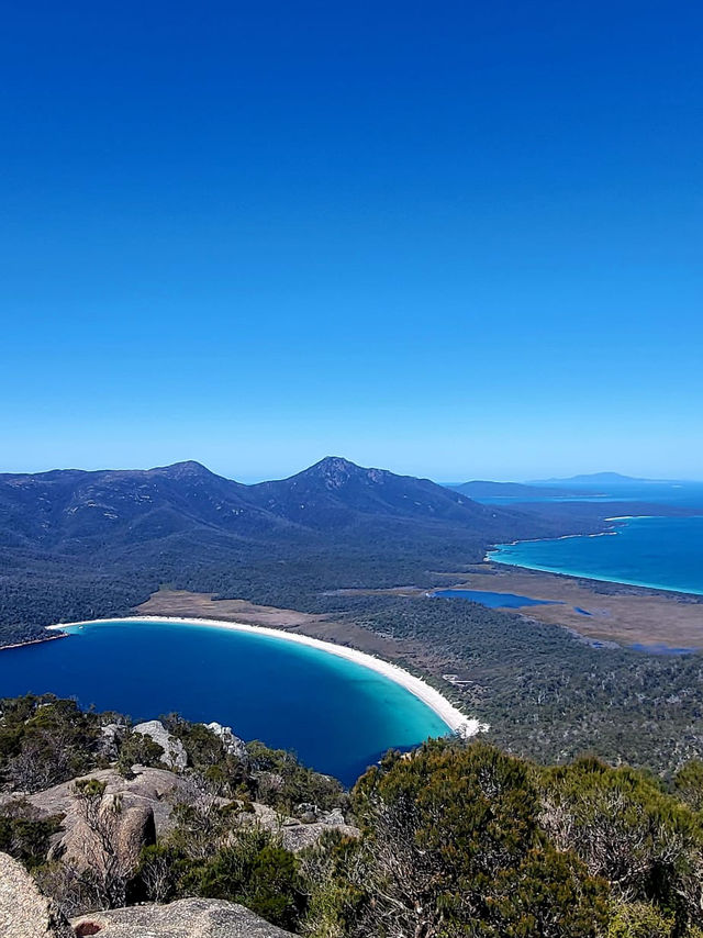 Tasmania wonders of animal kingdom #tasmania