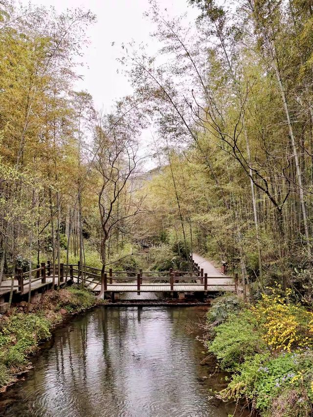 安雲悦南山度假酒店｜捕捉山水詩意與現代雅韻