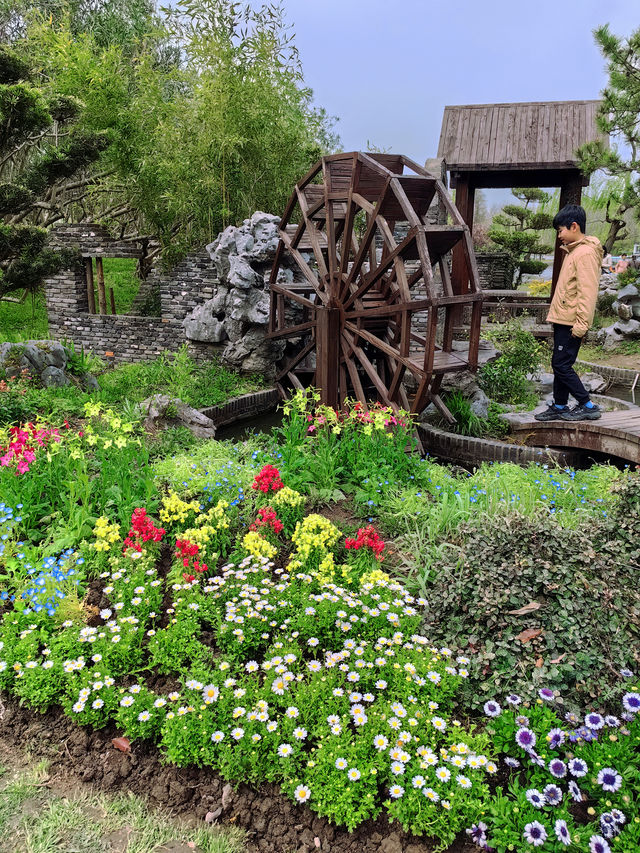 杭州私藏桃花源古林公園春日浪漫暴擊！