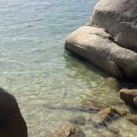 🐚誤入童話！深圳鵝公灣，小眾寶藏玻璃海
