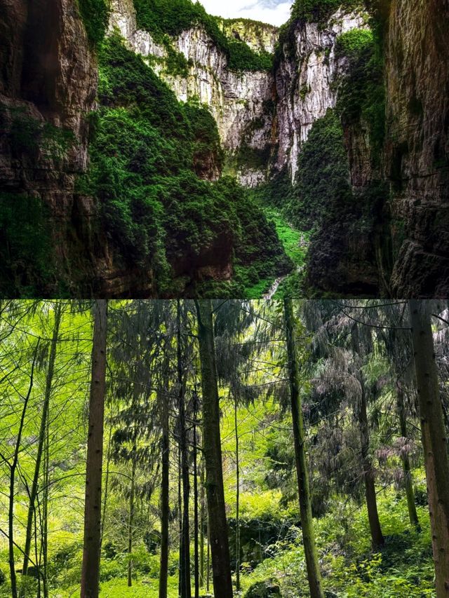 仙女山國家森林公園 五一必去