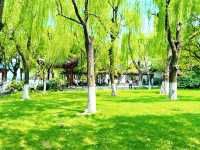 春日來信|邂逅西湖嘅浪漫桃花