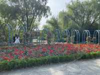 Zhejiang University Zijinggang Campus 🟣