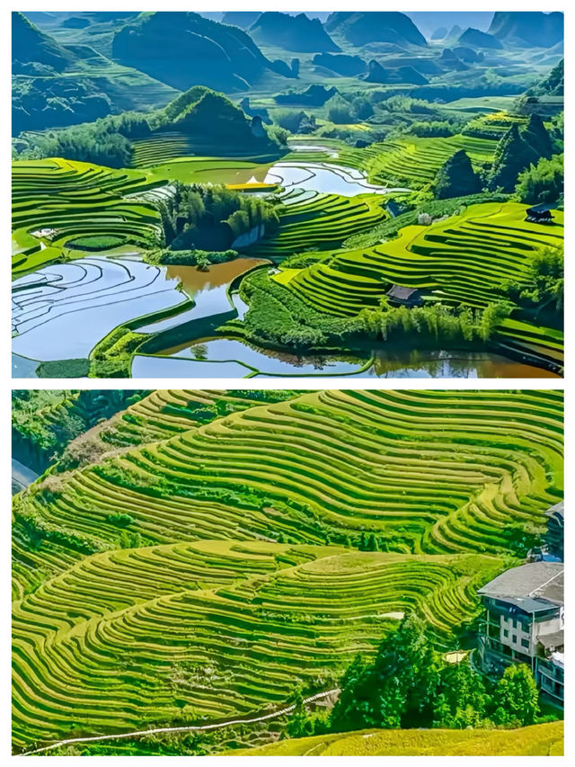 今個夏天一定要去一次桂林•龍脊梯田 今個夏天一定要去一次桂林•龍脊梯田