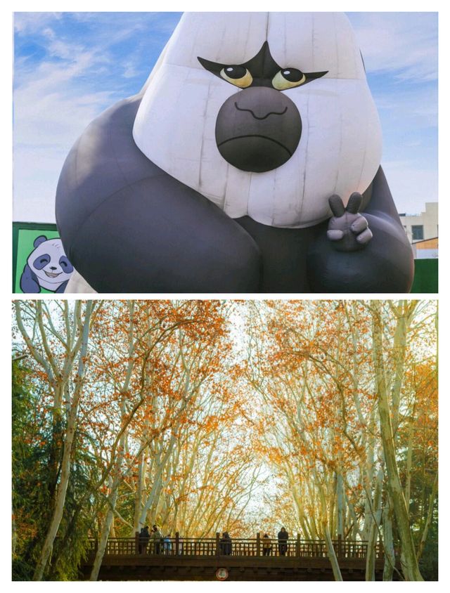 南京本地人私藏嘅小眾神仙路線