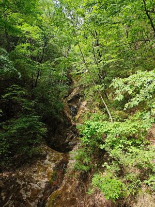 Xi'an's backyard: A 48-hour guide to Zhongnan Mountain Village
