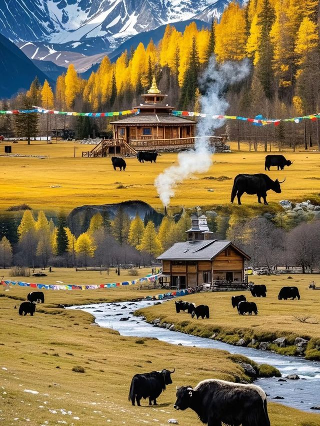 稻城亞丁旅行攻略：追尋藍色星球上嘅最後一片淨土
