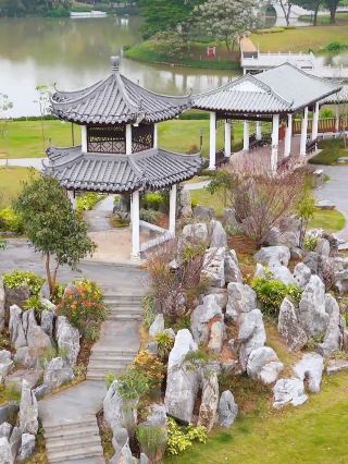 Weekend Stroll at Baiyun Lake, Immersed in the Poetic Time of Gesang Flowers