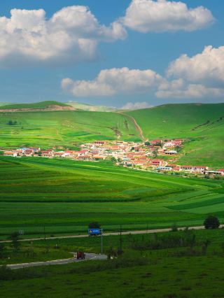 여기는 베이징의 자이아잉이지, 뉴질랜드가 아닙니다
