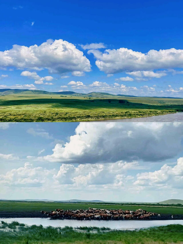 呼倫貝爾｜被假攻略坑到喊 本地人教我咁玩先唔會中伏