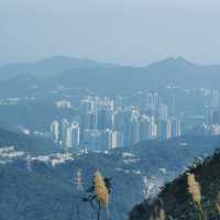 飛鵝山徒步之旅：登九龍巔峰，覽港城山海絕景