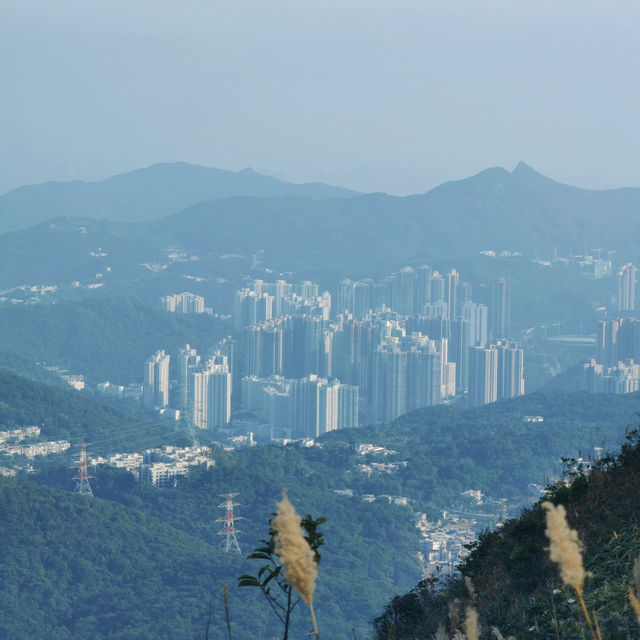 飛鵝山徒步之旅：登九龍巔峰，覽港城山海絕景