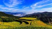 遂川兩日遊攻略：仙瀑紅圩逸境遊