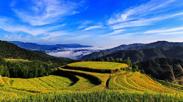 遂川兩日遊攻略：仙瀑紅圩逸境遊