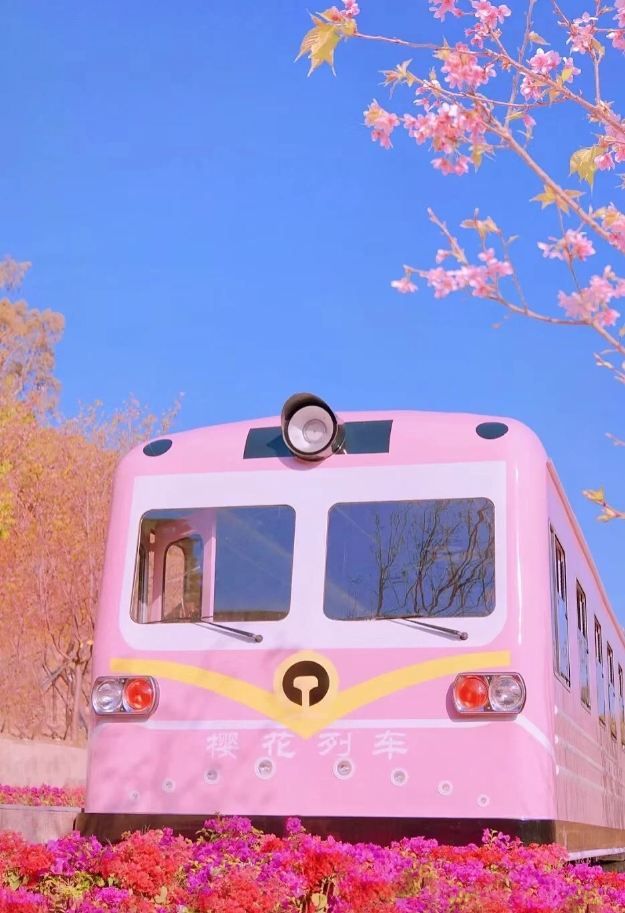 深圳蛇口｜CityWalk路線