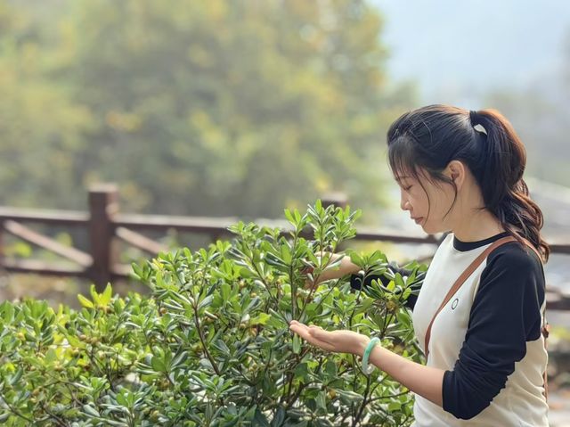 西安半小時，有山有水有溫泉嘅獨棟別墅