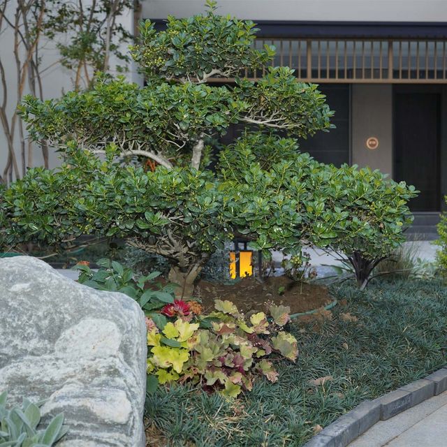 洛陽大衛天地王城公園雲居酒店