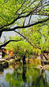 大理沙溪古鎮一日遊|避開人潮的小眾寶藏地