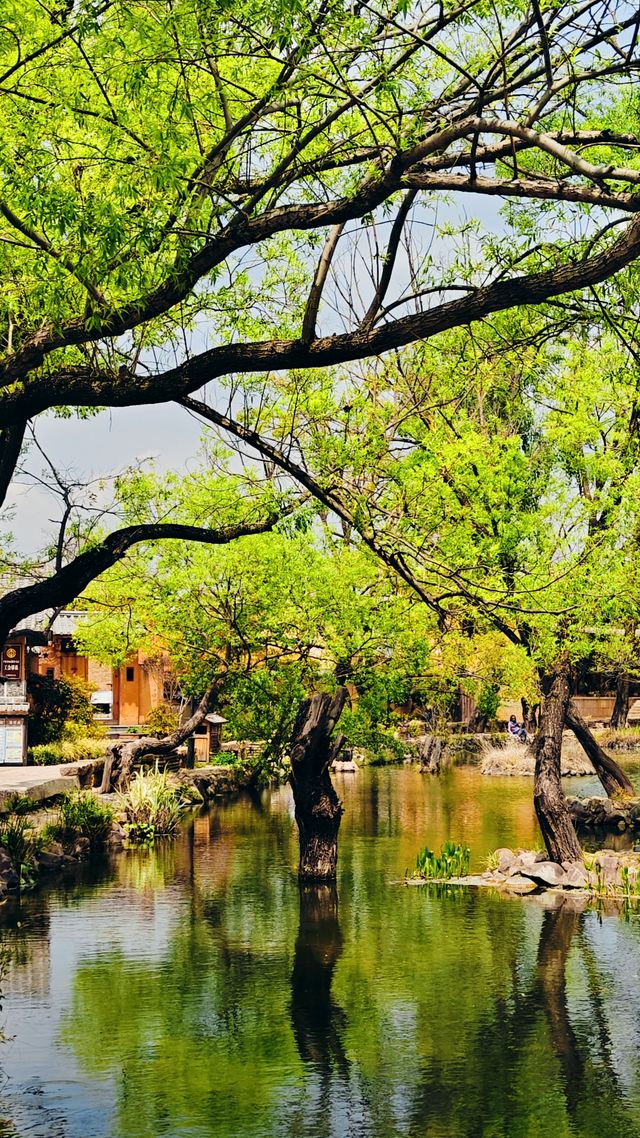 大理沙溪古鎮一日遊|避開人潮的小眾寶藏地